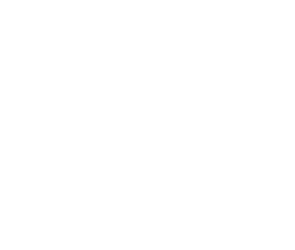 RDS MK.V